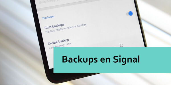 Signal - ¿Dónde se almacenan los mensajes?
